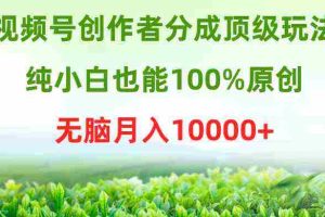 (9608期)视频号创作者分成顶级玩法,纯小白也能100%原创,无脑月入10000+