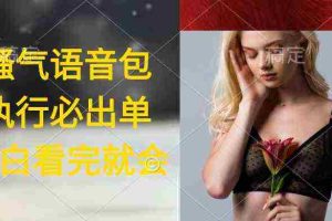 (9589期)执行就出单,日入2000+,超火骚气语音包,小白看完课程就能马上实操