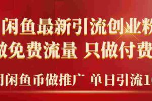 (9584期)2024年闲鱼币推广引流创业粉,不做免费流量,只做付费流量,单日引流100+