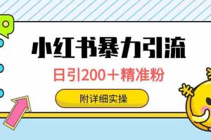(9582期)小红书暴力引流大法,日引200+精准粉,一键触达上万人,附详细实操