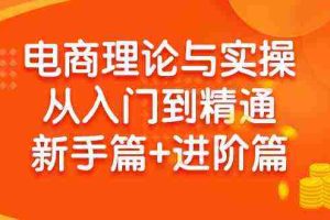 (9576期)电商理论与实操从入门到精通 新手篇+进阶篇