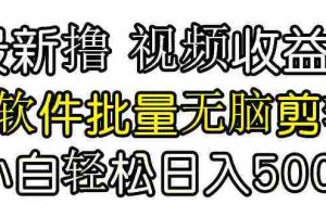 (9569期)发视频撸收益,软件无脑批量剪辑,第一天发第二天就有钱