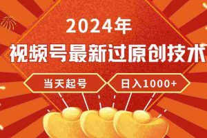 (9565期)2024年视频号最新过原创技术,当天起号,收入稳定,日入1000+