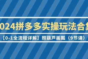 (9559期)2024拼多多实操玩法合集【0-1全流程详解】照葫芦画瓢(9节课)