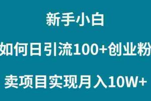 (9556期)新手小白如何通过卖项目实现月入10W+