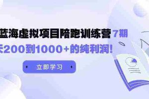 (9541期)黄岛主《淘宝蓝海虚拟项目陪跑训练营7期》每天200到1000+的纯利润