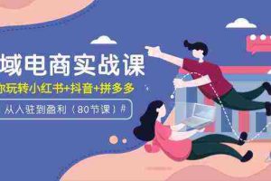(9529期)全域电商实战课:从入驻到盈利,带你玩转小红书+抖音+拼多多(80节课)