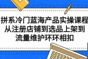 (9527期)拼系冷门蓝海产品实操课程,从注册店铺到选品上架到流量维护环环相扣