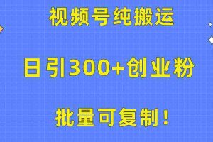 (10186期)批量可复制!视频号纯搬运日引300+创业粉教程!