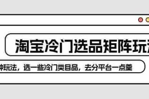 (10159期)淘宝冷门选品矩阵玩法:换种玩法,选一些冷门类目品,去分平台一点羹