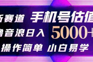 (10154期)抖音不出境直播【手机号估值】最新撸音浪,日入5000+,简单易学,适合…