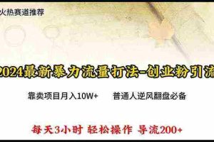 (10151期)2024年最新暴力流量打法,每日导入300+,靠卖项目月入10W+