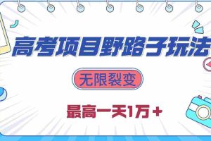 (10150期)2024高考项目野路子玩法,无限裂变,最高一天1W+!