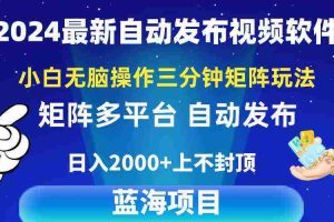(10166期)2024最新视频矩阵玩法,小白无脑操作,轻松操作,3分钟一个视频,日入2k+