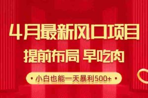 (10137期)28.4月最新风口项目,提前布局早吃肉,小白也能一天暴利500+