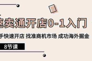 (10126期)速卖通开店0-1入门,新手快速开店 找准商机市场 成功海外掘金(8节课)