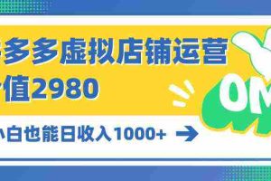(10120期)拼多多虚拟店铺运营:小白也能日收入1000+
