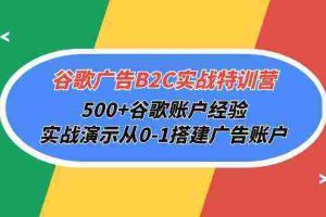 (10096期)谷歌广告B2C实战特训营,500+谷歌账户经验,实战演示从0-1搭建广告账户