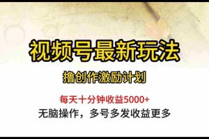 (10087期)视频号最新玩法,每日一小时月入5000+