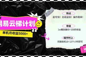 (10063期)最新网易云梯计划网页版,单机月收益5000+!可放大操作