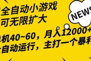 (10046期)2024最新全网独家小游戏全自动,单机40~60,稳定躺赚,小白都能月入过万