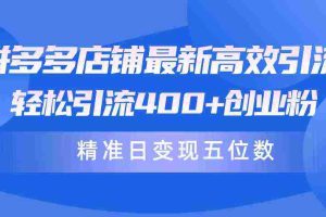 (10041期)拼多多店铺最新高效引流术,轻松引流400+创业粉,精准日变现五位数!