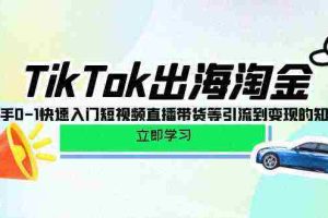 (10035期)TikTok-出海淘金,新手0-1快速入门短视频直播带货等引流到变现的知识