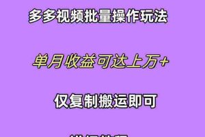 (10029期)拼多多视频带货快速过爆款选品教程 每天轻轻松松赚取三位数佣金 小白必…