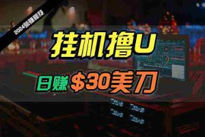 (10013期)日赚30美刀,2024最新海外挂机撸U内部项目,全程无人值守,可批量放大