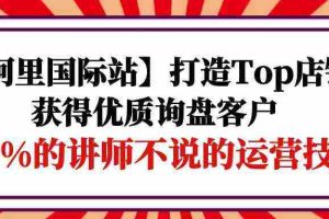 (9976期)【阿里国际站】打造Top店铺-获得优质询盘客户,95%的讲师不说的运营技巧