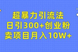 (9954期)超暴力引流法,日引300+创业粉,卖项目月入10W+