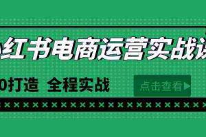(9946期)最新小红书·电商运营实战课,从0打造  全程实战(65节视频课)