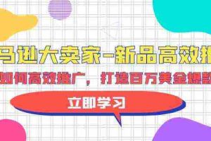 (9945期)亚马逊 大卖家-新品高效推广,分享如何高效推广,打造百万美金爆款单品