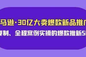 (9944期)亚马逊30亿·大卖爆款新品推广,可复制、全程案例实操的爆款推新SOP