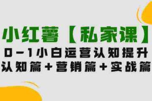 (9910期)小红薯【私家课】0-1玩赚小红书内容营销,认知篇+营销篇+实战篇(11节课)