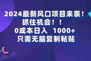 (9899期)2024最新风口项目来袭,抓住机会,0成本一部手机日入1000+,只需无脑复…