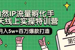 (9881期)自然IP流量孵化手 14天线上实操特训营【第9期】月入5w+百万爆款打造 (74节)