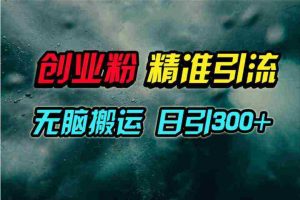 (9875期)视频号纯搬运日引300+创业粉教程!