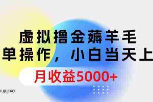 (9864期)虚拟撸金薅羊毛,简单操作,小白当天上手,月收益5000+