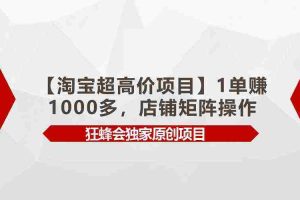 (9849期)【淘宝超高价项目】1单赚1000多,店铺矩阵操作