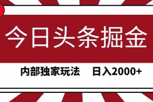 (9832期)今日头条掘金,30秒一篇文章,内部独家玩法,日入2000+