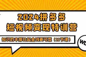 (9817期)2024拼多多短视频变现特训营,知识的丰厚比起金钱更可靠(11节课)