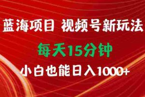(9813期)蓝海项目视频号新玩法 每天15分钟 小白也能日入1000+