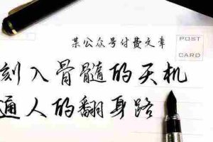 (9807期)某公众号付费文章:刻入骨髓的天机,揭露“普通人的翻身路” 这件通天大事
