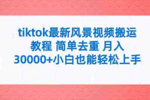 (9804期)tiktok最新风景视频搬运教程 简单去重 月入30000+附全套工具