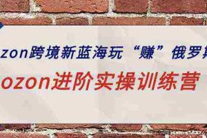 (9800期)ozon跨境新蓝海玩“赚”俄罗斯,ozon进阶实操训练营