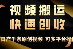 (10417期)一步一步教你赚大钱!仅视频搬运,月入3万+,轻松上手,打通思维,处处…