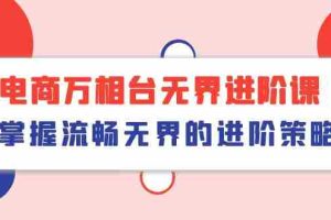 (10315期)电商 万相台无界进阶课,掌握流畅无界的进阶策略(41节课)
