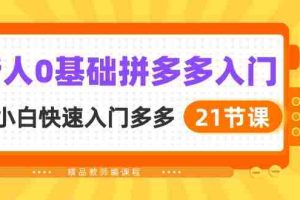 (10299期)新人0基础拼多多入门,纯小白快速入门多多(21节课)