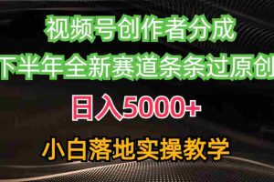 (10294期)视频号创作者分成最新玩法,日入5000+  下半年全新赛道条条过原创,小…
